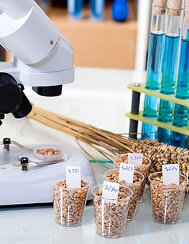 Food Analysis