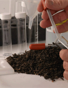 Soil Analysis